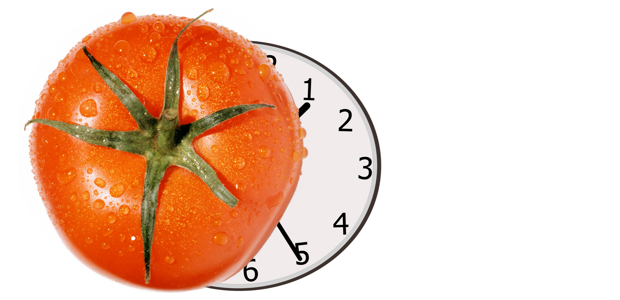 Pomodoro Study Timer